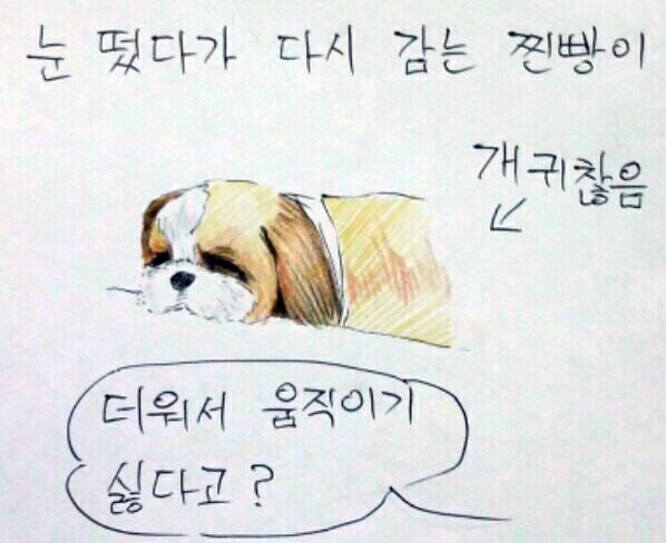 여름 필수품은?