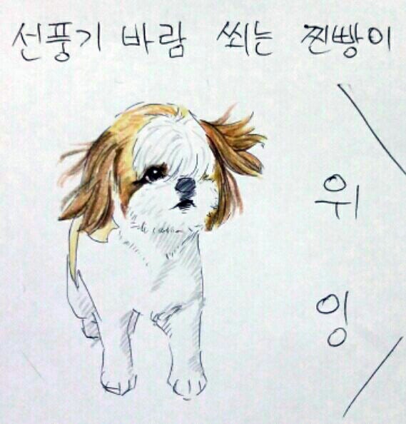 여름 필수품은?