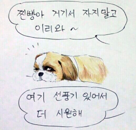 여름 필수품은?