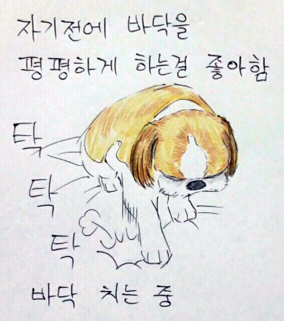 여름 필수품은?