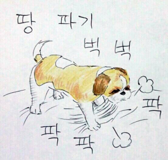 여름 필수품은?