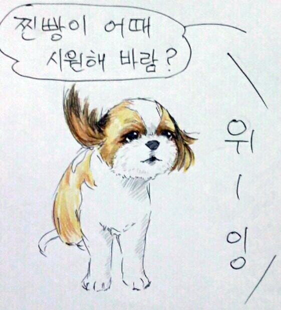 여름 필수품은?