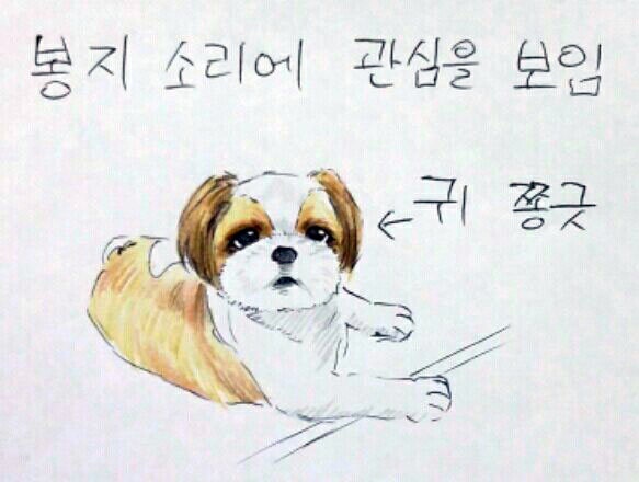 여름 필수품은?