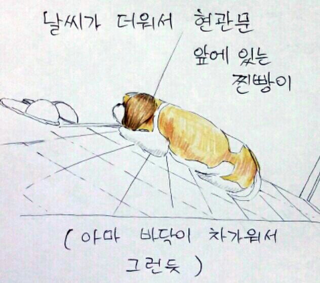 여름 필수품은?