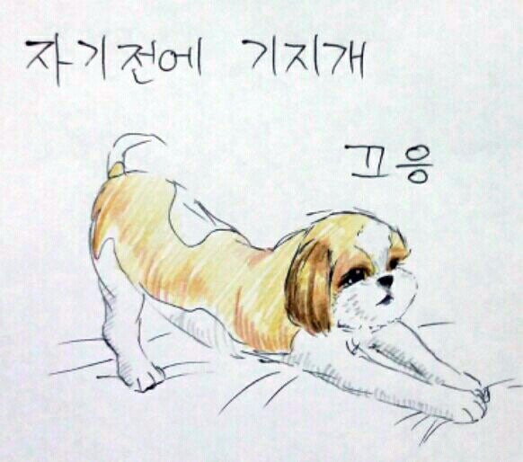 여름 필수품은?