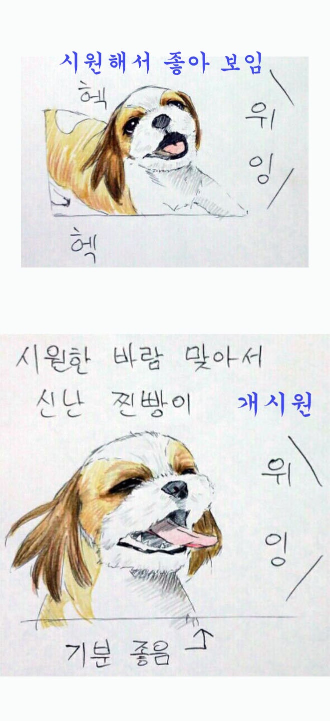 여름 필수품은?