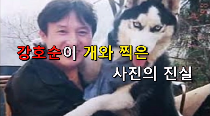 강호순이 개와 찍은 사진의 진실