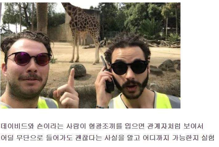 형광조끼 의문의 기능