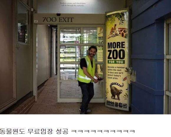 형광조끼 의문의 기능