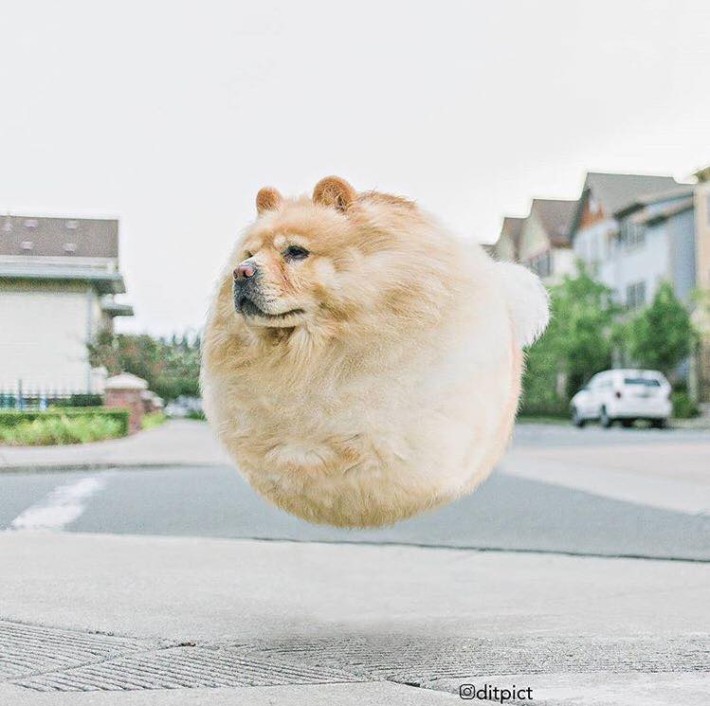 µÕ°³µÕ°³