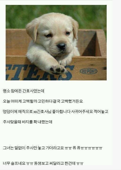 ê°í¸ì¬ìê² ê³&nbsp;ë°± ê±°ì&nbsp;ë¹í¨