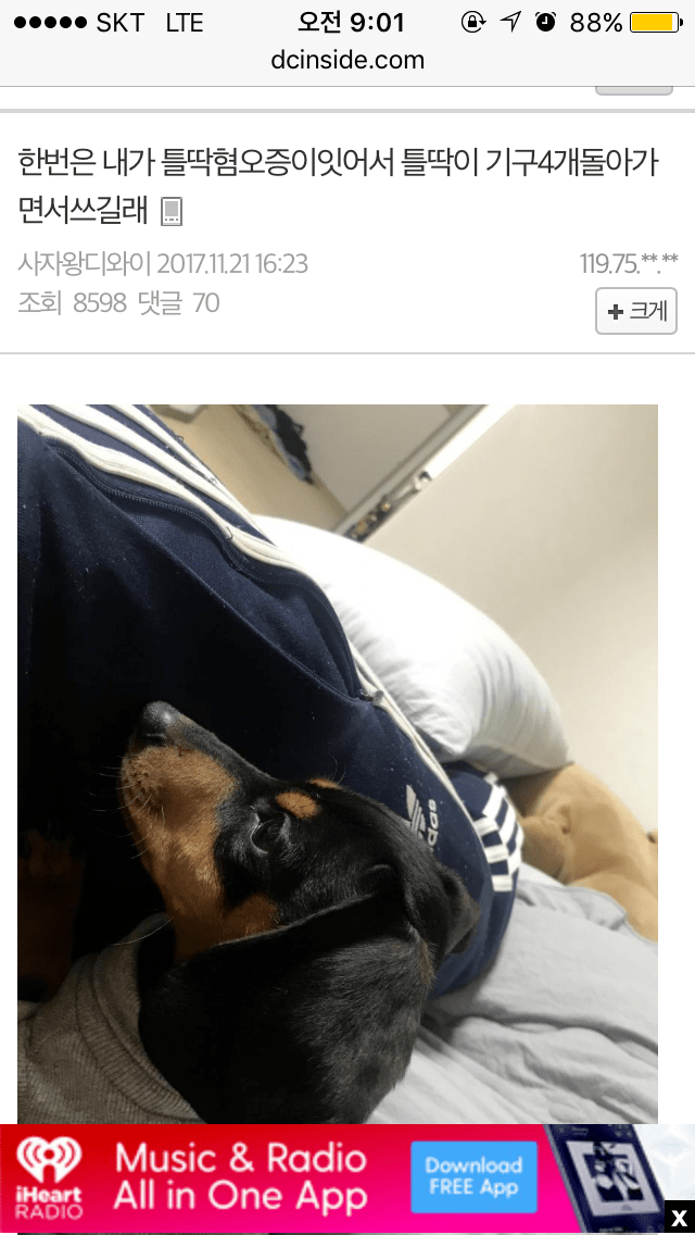 íë±íì¤ì¦ì´ ìê¸´ í¬ê°¤ë¬