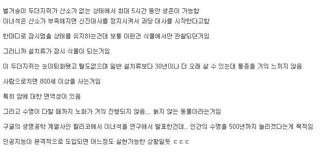 êµ¬ê¸ ì¸ê° 500ì¸ íë¡ì&nbsp;í¸ ëì&nbsp;