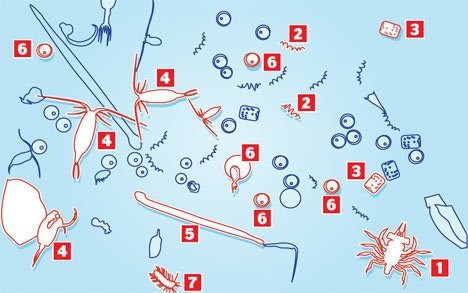 ë°ë·ë¬¼ íë í´ë³´ë©´.jpg