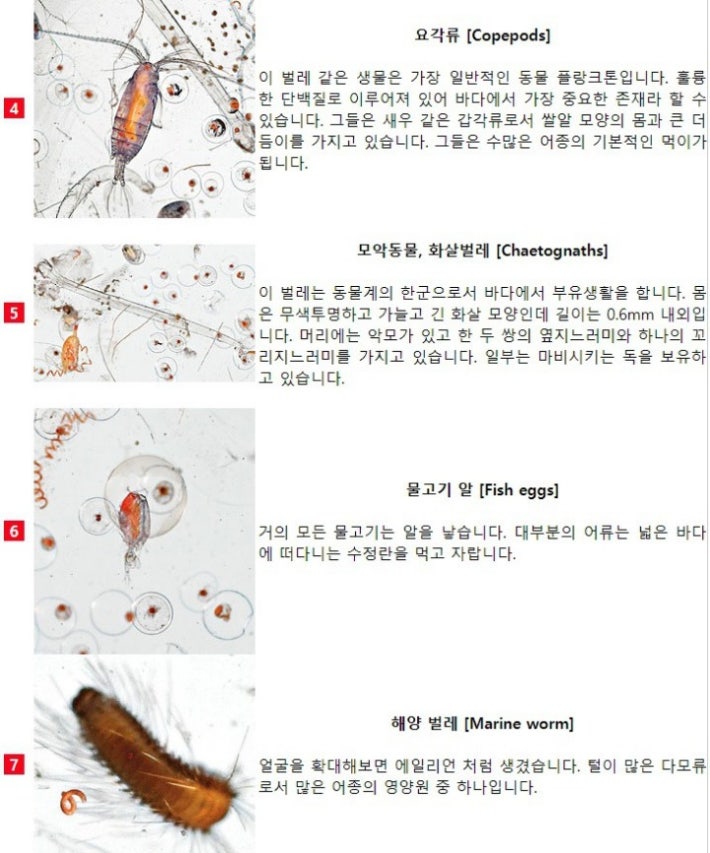 ë°ë·ë¬¼ íë í´ë³´ë©´.jpg