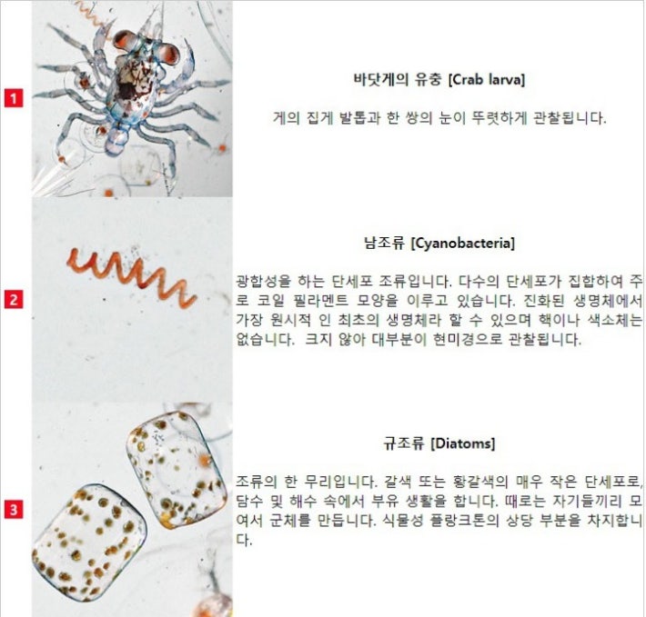 ë°ë·ë¬¼ íë í´ë³´ë©´.jpg