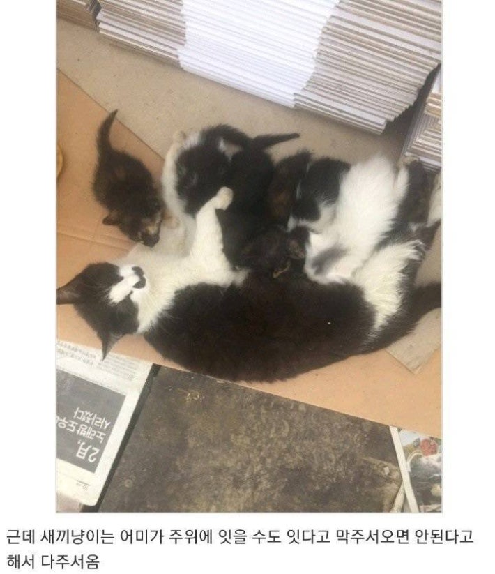 ë¥ì¤í ìëì¸..