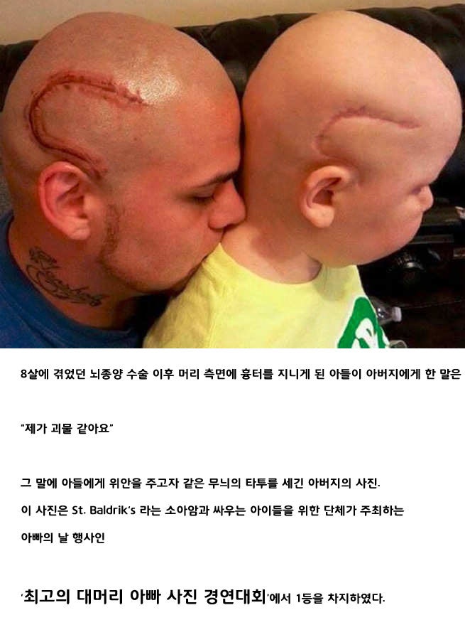 ìµê³&nbsp;ì ëë¨¸ë¦¬ ìë¹&nbsp;