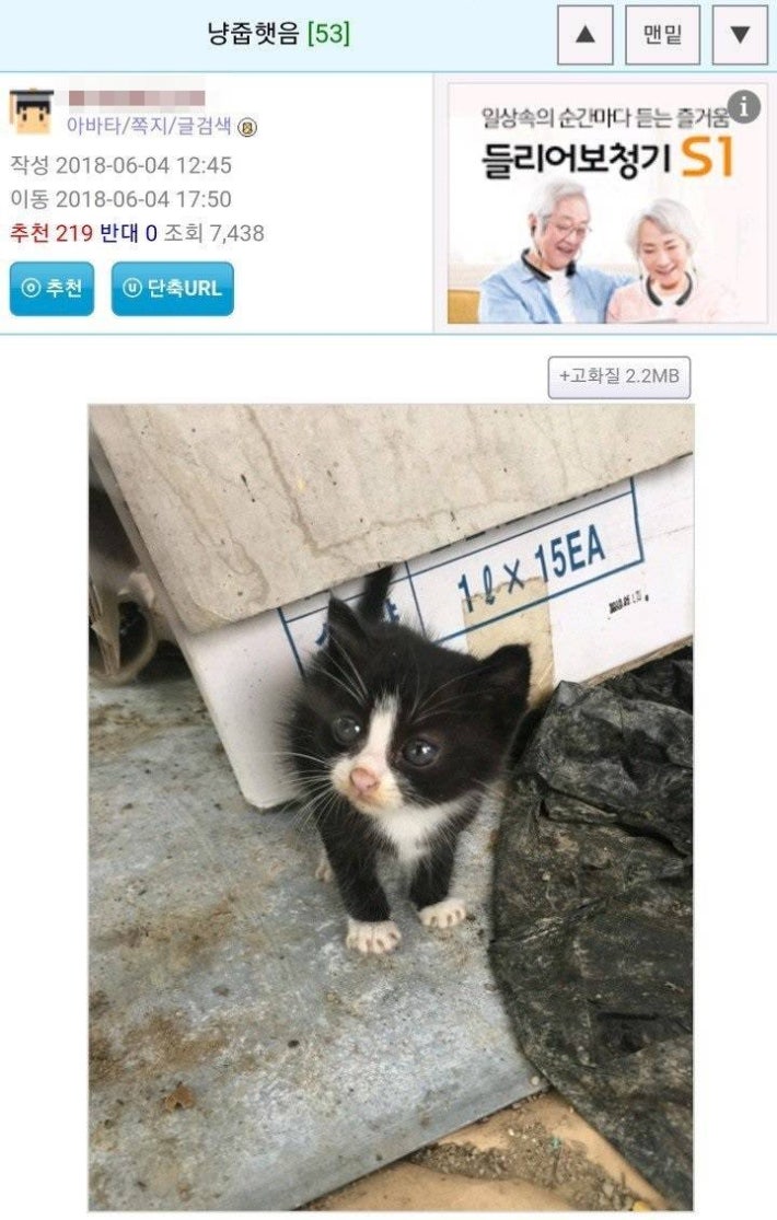 ë¥ì¤í ìëì¸..