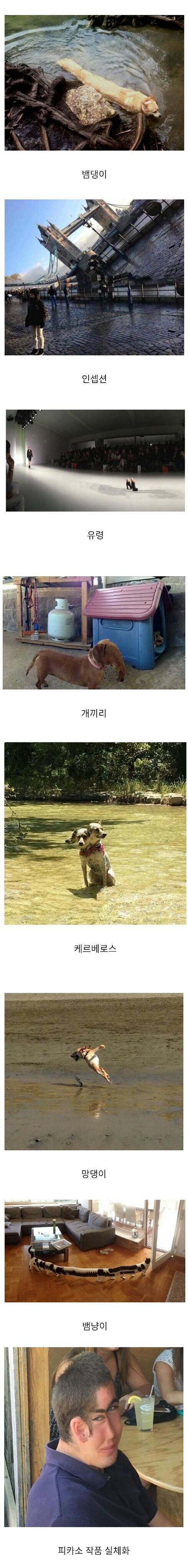 íë¸ë¼ë§ ì¬ì§ì ë¬´ìì