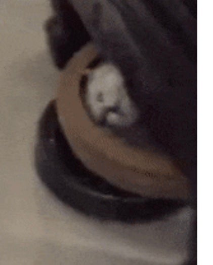 ë¡ë´ì²­ìê¸°ì ë°ë...