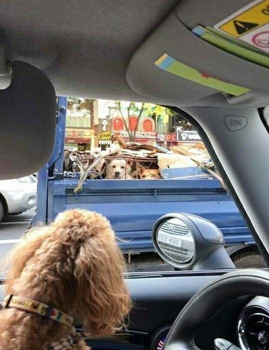 ë§ë¡ë ì¤ëªíê¸° íë&nbsp; ì¬íì¬ì§