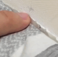 모기 능욕 ㅋㅋ .gif1