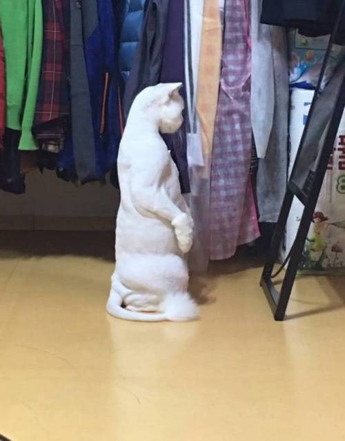 ì°ë¦¬ì§ ê³&nbsp;ìì´ë ë­ê° ìì¸ê² ìëê¹?