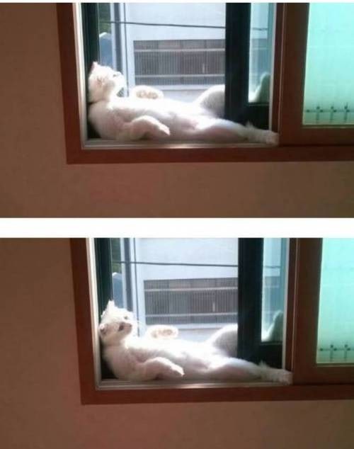 ì°ë¦¬ì§ ê³&nbsp;ìì´ë ë­ê° ìì¸ê² ìëê¹?