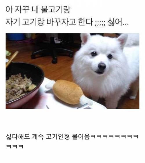 êµíì ìí©ëë¤