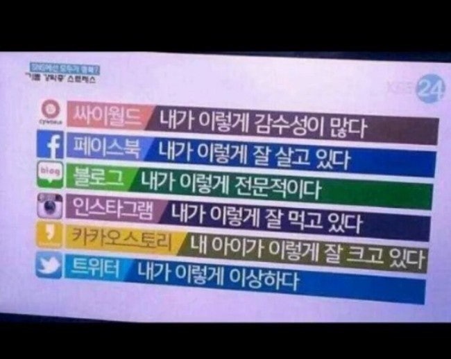 SNSë³ íì¤ìì½