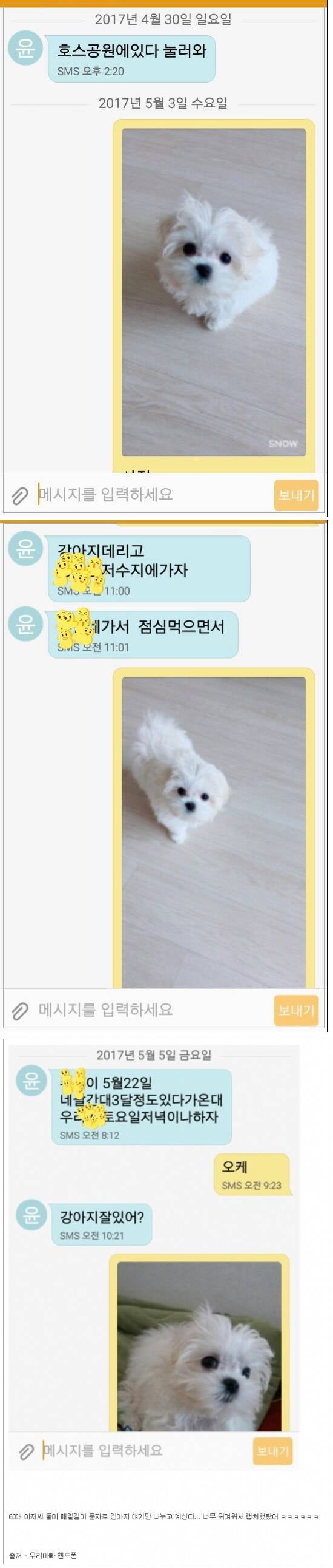 ì´ë¥´ì&nbsp;ë¤ì ê°ìì§ ì¬ë ë¬¸ì.jpg