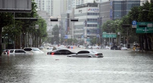 ìì¸ ì¥ë§ ë&nbsp;ì&nbsp;ë.jpg