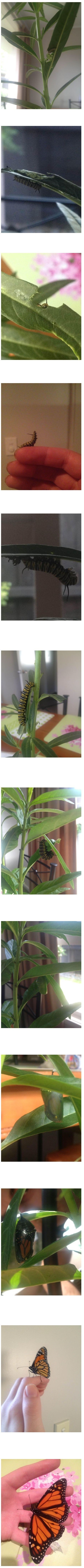 ë³íê° ë&nbsp; ëê¹ì§ ê¸°ë¤ë&nbsp;¤ ì¤