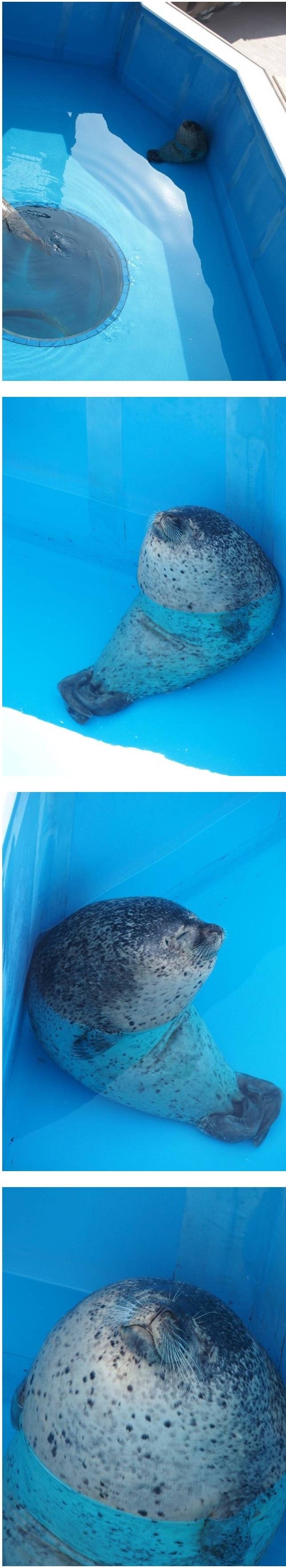 êµ¬ììì ëª°ë ìê³&nbsp;ìë ë¬¼ê°.jpg