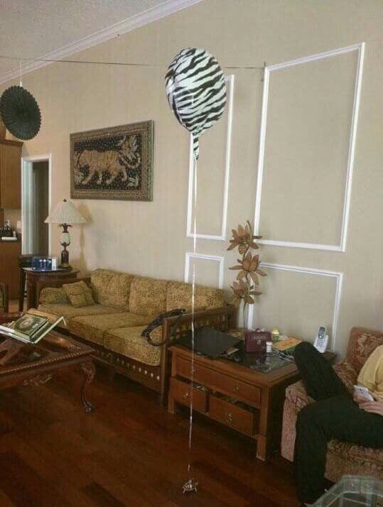 ì§ìì ê±°ë¶ì´ ì ìì´ë²ë¦¬ë ë°©ë²