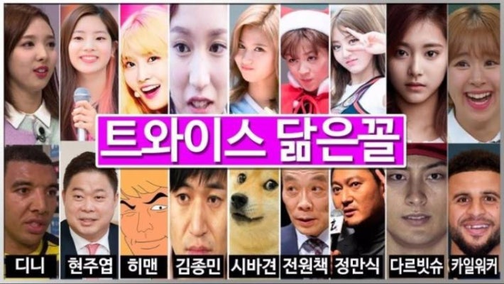 í¸ìì´ì¤ í¬ì¹´í ê°í´ ì§¤