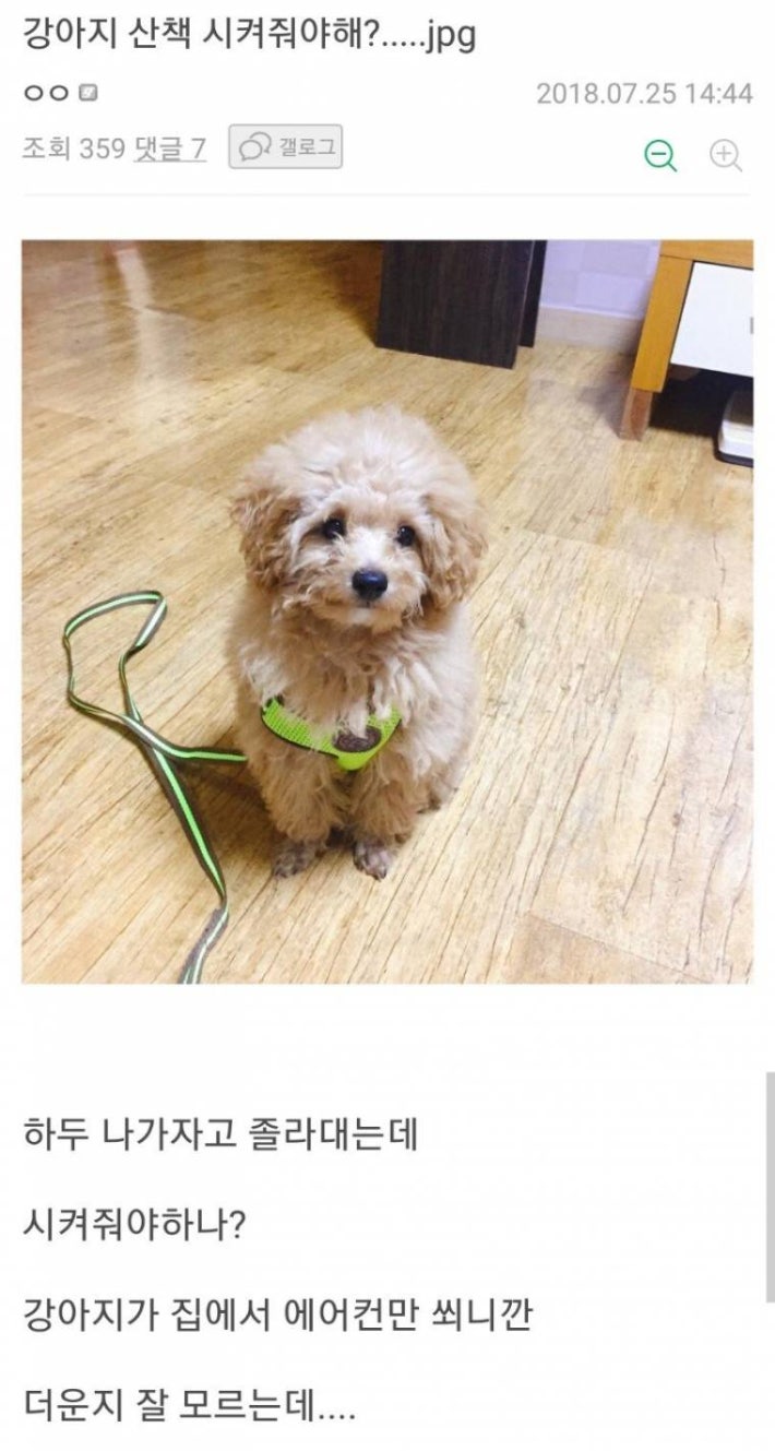 í­ì¼ì ì°ì±íìê³&nbsp; ì¡°ë¥´ë ë©ë©ì´