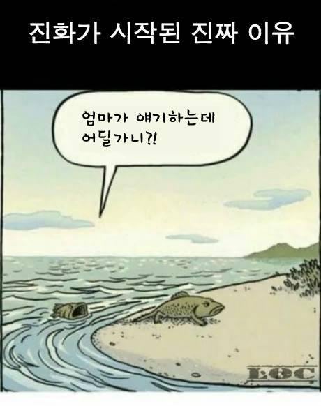 ì§íê° ììë ì§ì§ ì´ì&nbsp;