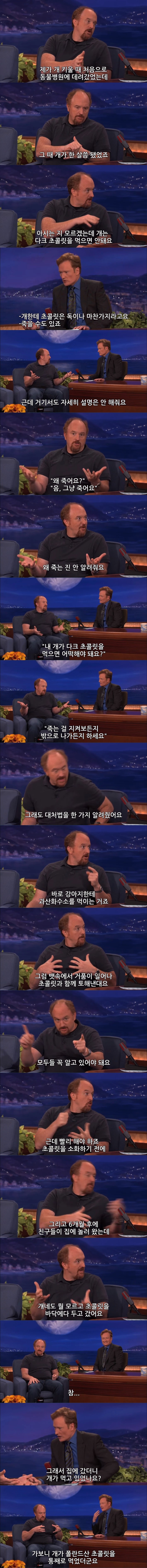 ì´ˆì½œë¦¿ ë¨¹ì€ ëŒ•ëŒ•ì´ . JPG