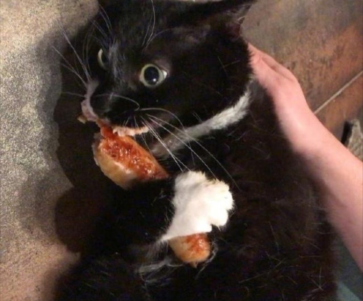í¬ê¸°íì ìë ìì¬ì ìê°