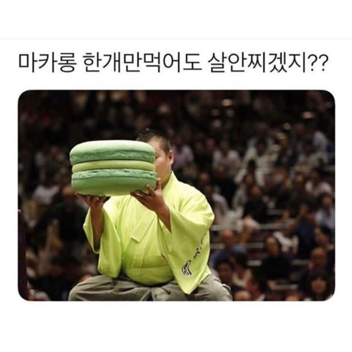다이어트중이라 마카롱 한개만 먹었다