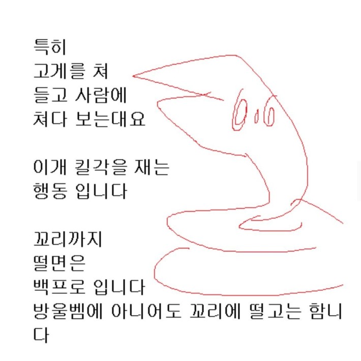 독 있는뱀 없는뱀 구별 법