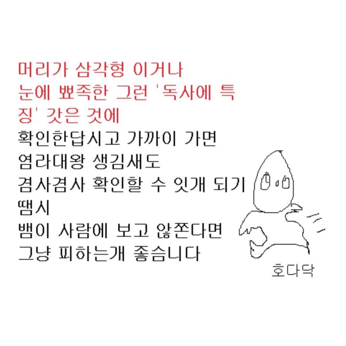 독 있는뱀 없는뱀 구별 법