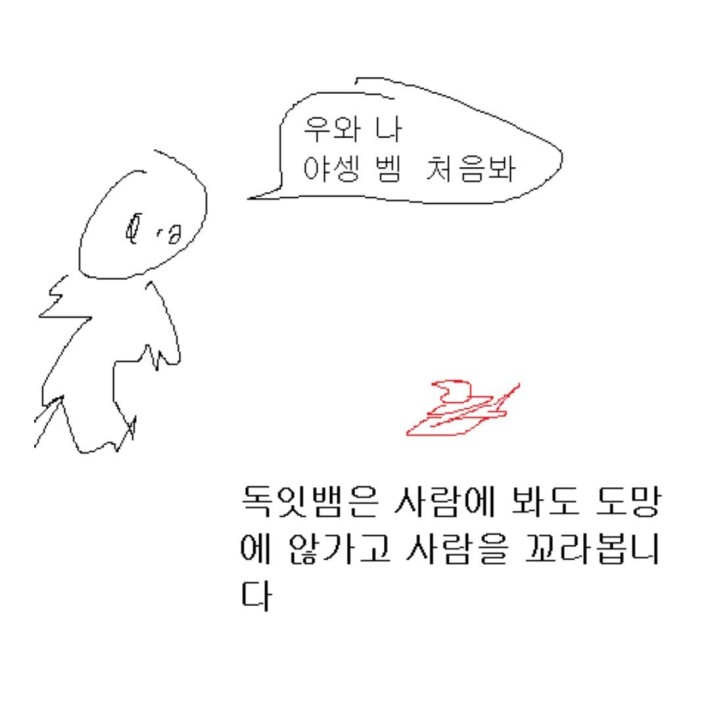 독 있는뱀 없는뱀 구별 법