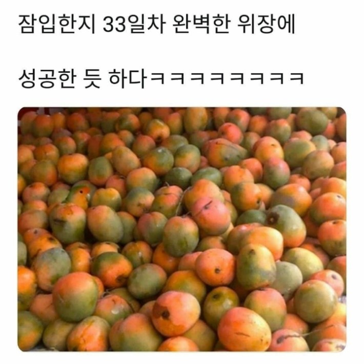 앵무새의 위장술