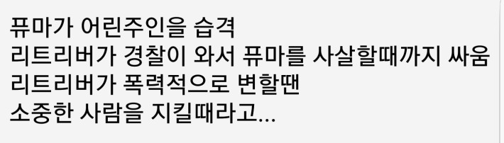 리트리버 너란..ㅠ