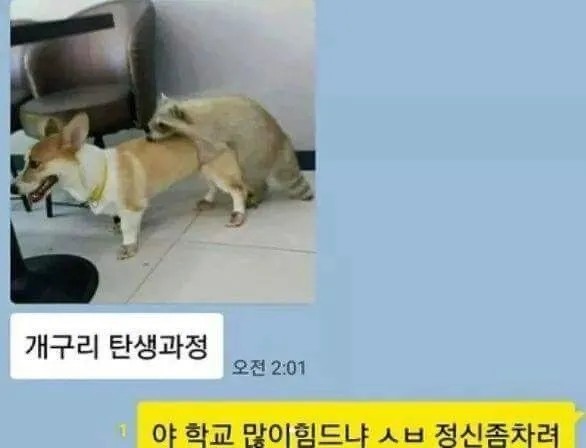 개구리 탄생 과정