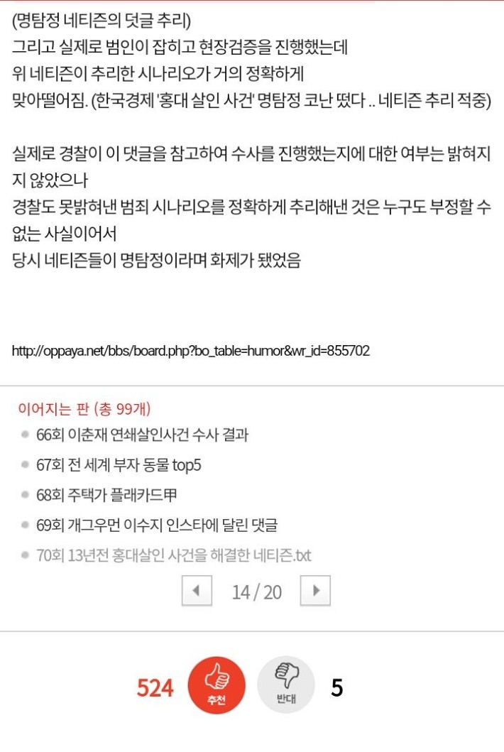 수사대 네티즌 ‘정의감’ 사이버