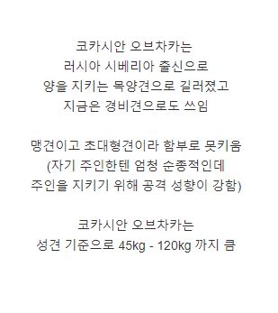 함부로 못 키우는 코카시안 오브차카 애기 때, 성견일 때 모습